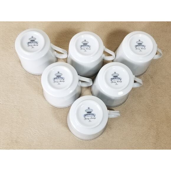 Bristol Tea Cup Spring Memory Fine China Japan Vintage Collectible Set of 6 - Picture 9 of 12